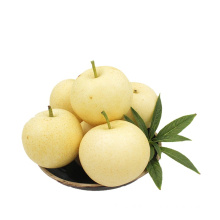 Chinese fresh yellow Ya pears for sale from pears fresh farm